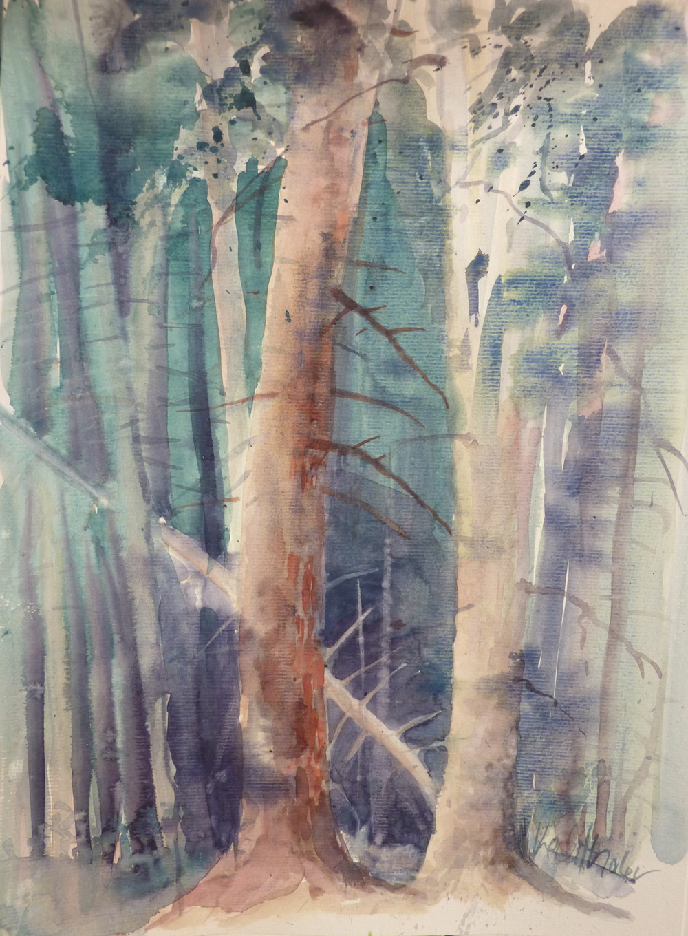 Wald, wood , forest, aquarell, Lechthaler